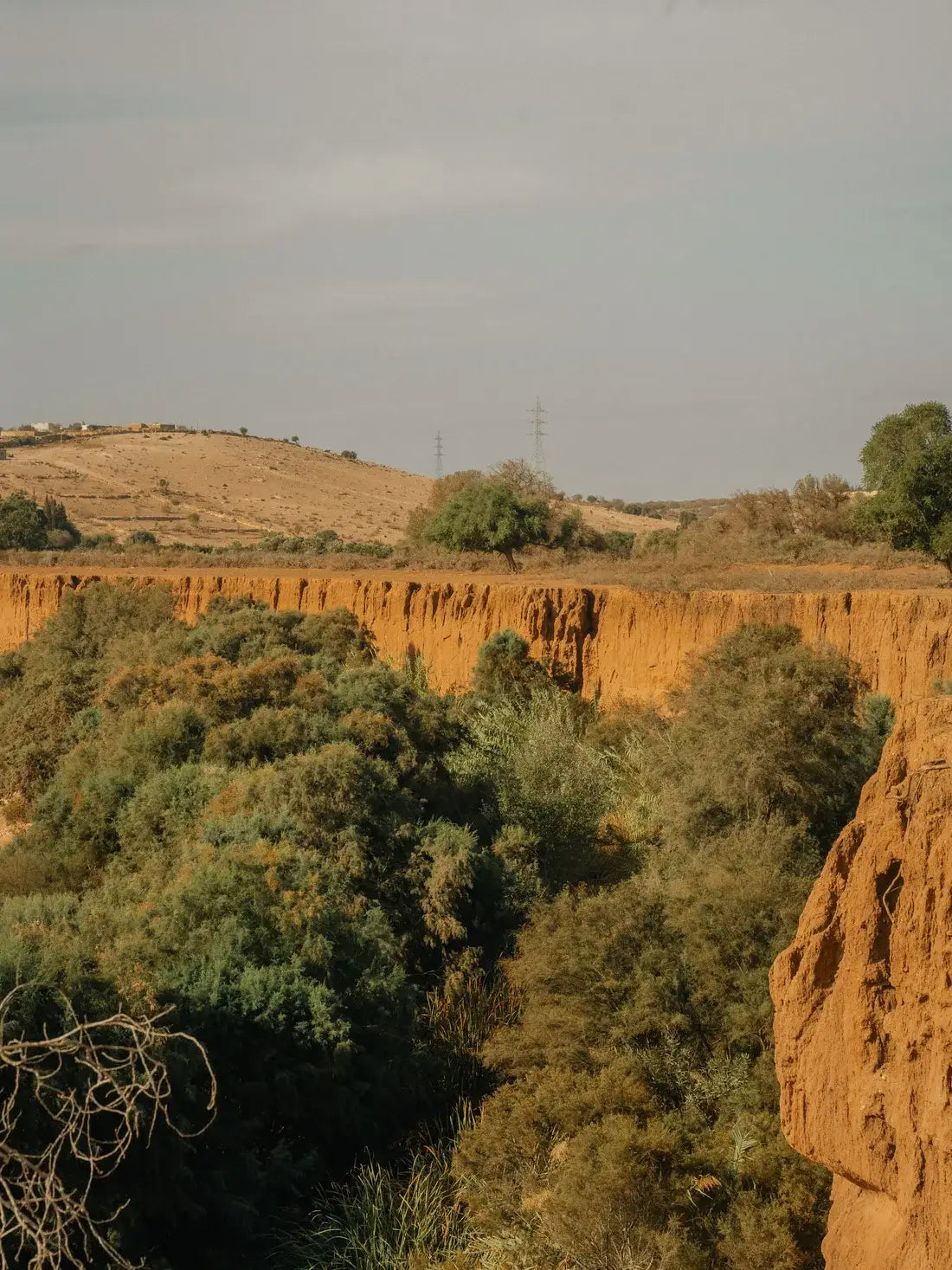 The Estate’s land in Ouguerd, near Essaouira